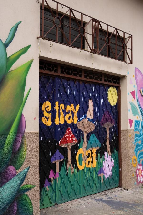 سان هوزيه Stray Cat Hostel المظهر الخارجي الصورة